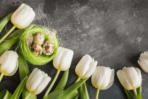 Easter pattern. Border of white tulips, eggs, nest on vintage gray. 스톡 사진