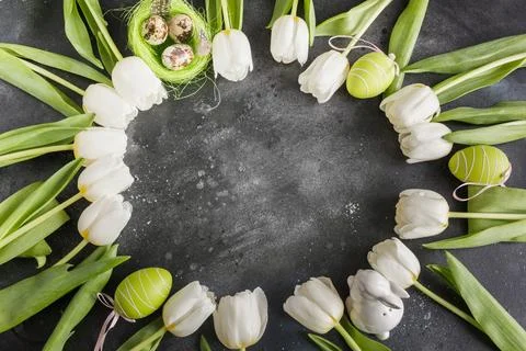 Easter pattern. Border of white tulips, eggs, nest on gray. Stock Photos
