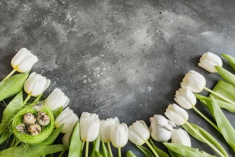 Easter pattern. Border of white tulips, eggs, nest on vintage gray. Stock Photos