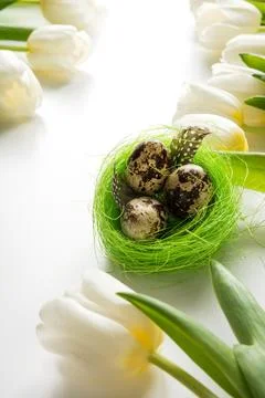 Easter pattern. White tulips, nest, eggs on white. Stock Photos