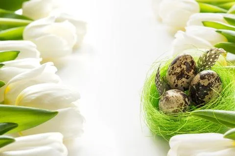 Easter pattern. White tulips, nest, eggs on white. Foto stock