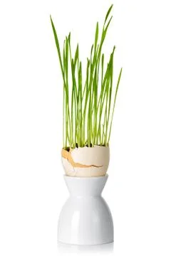 Easter Stock Photos