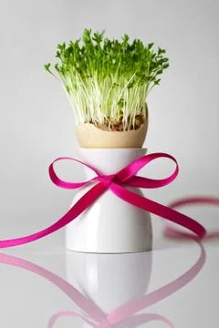 Easter Stock Photos