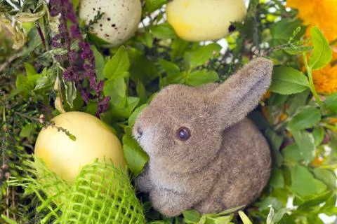Easter Stock-Fotos