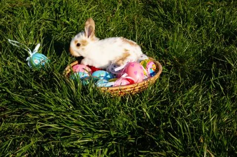 Easter Stock Photos
