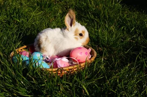 Easter Stock Photos
