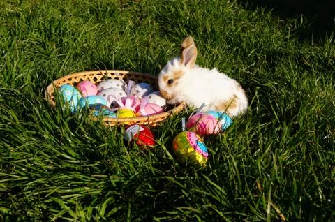 Easter Stock Photos