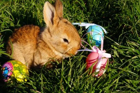 Easter Stock Photos