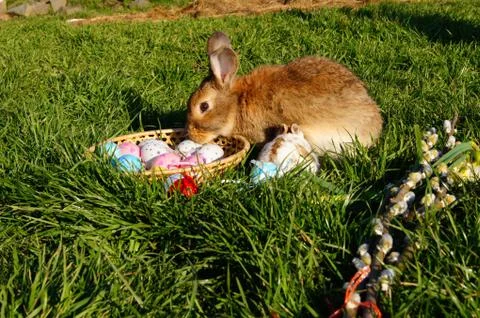 Easter Stock Photos
