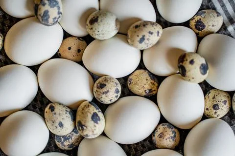 Easter Foto stock