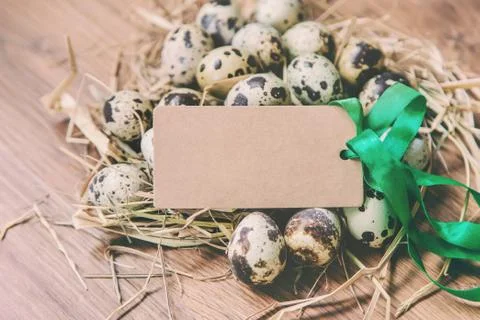 Easter photo. Happy easter. Eggs Selective focus. Stock Photos