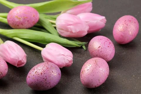 Easter. Pink Easter eggs and flowers tulips on a dark background. Happy easte Stock Photos