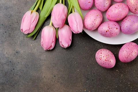 Easter. Pink Easter eggs and flowers tulips on a dark background. Happy easte Stock Photos