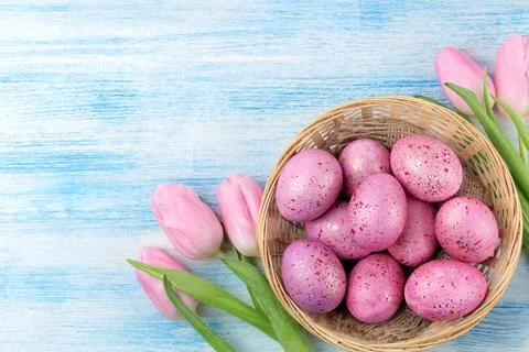 Easter. Pink Easter eggs in a basket and flowers tulips on a blue wooden tabl Stock Photos