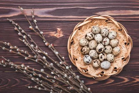 Easter postcard, quail eggs in a wicker straw plate and pussy willow on dark Stock Photos