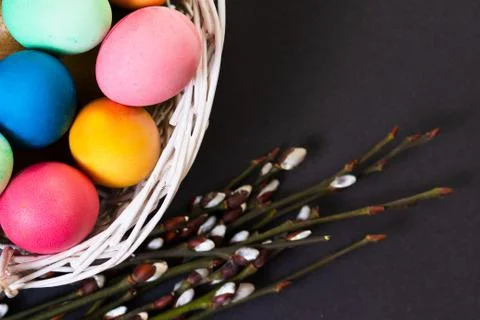 Easter preparation. Colorful easter eggs and willow branch. Stock Photos