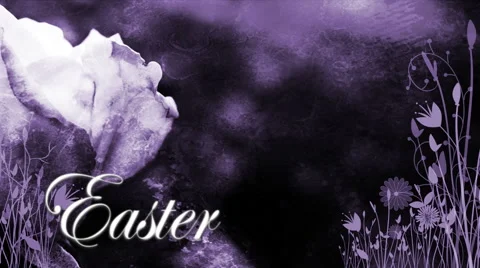 Easter Purple Rose 1080  background Stock Footage 50669641
