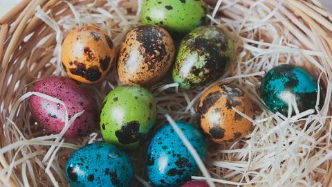 Easter quail eggs in a basket. Easter composition. Holiday concept. Stock Photos