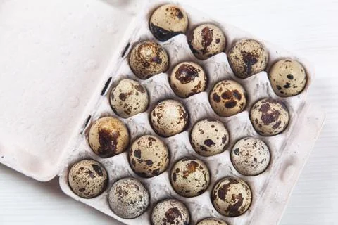 Easter quail eggs in container on bright background Stock-Fotos