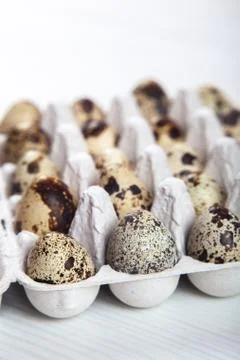 Easter quail eggs in container on bright background Stock Photos