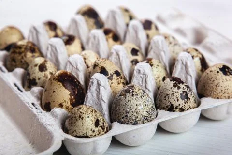 Easter quail eggs in container on bright background Stock Photos