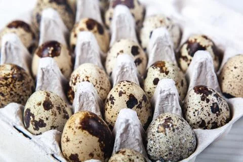 Easter quail eggs in container on bright background Stock Photos
