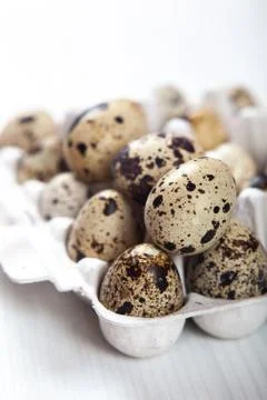 Easter quail eggs in container on bright background Stock Photos