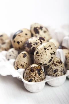 Easter quail eggs in container on bright background Stock Photos