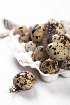 Easter quail eggs in container on bright background Stock Photos