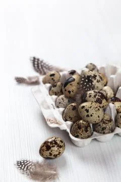 Easter quail eggs in container on bright background Stock Photos