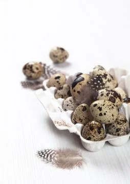 Easter quail eggs in container on bright background Stock Photos