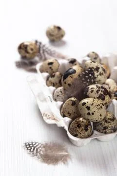 Easter quail eggs in container on bright background Stock Photos