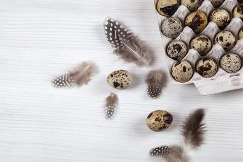 Easter quail eggs in container on bright background Stock Photos