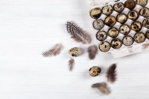Easter quail eggs in container on bright background Stock-Fotos