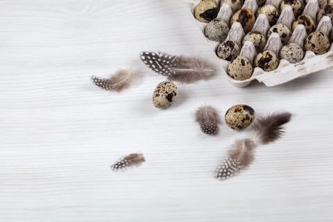 Easter quail eggs in container on bright background Stock-Fotos
