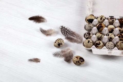 Easter quail eggs in container on bright background Stock-Fotos