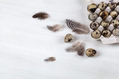 Easter quail eggs in container on bright background Stock-Fotos