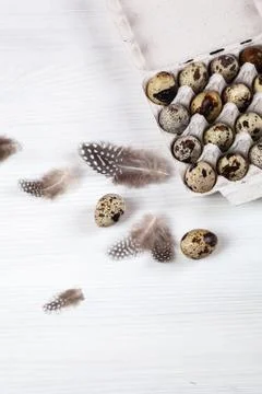 Easter quail eggs in container on bright background Stock-Fotos