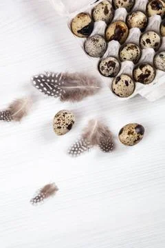 Easter quail eggs in container on bright background Stock Photos