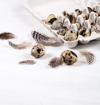 Easter quail eggs in container on bright background Stock Photos