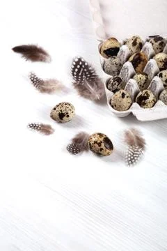 Easter quail eggs in container on bright background Stock-Fotos