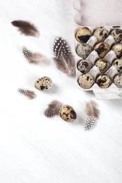 Easter quail eggs in container on bright background Stock Photos