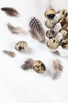 Easter quail eggs in container on bright background Stock Photos