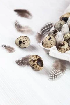 Easter quail eggs in container on bright background Stock Photos