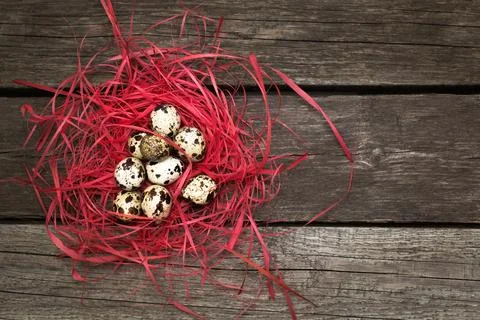 Easter quail eggs in decorative nest on wooden background. Easter decor. Stockfoto's