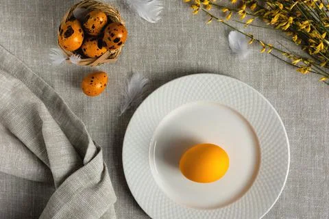 Easter quail eggs on a gray background Stock Photos