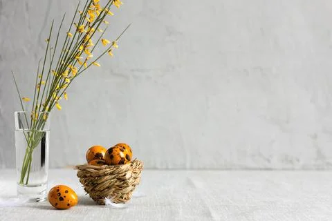 Easter quail eggs on a gray background Stock Photos