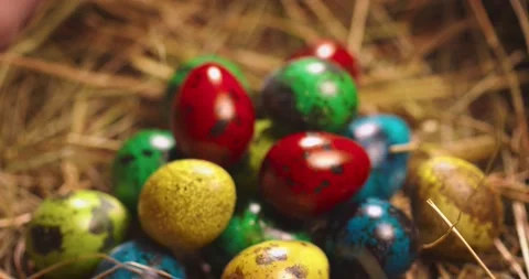 Easter quail eggs on hay, close up video of female hand putting egg on heap Stock Footage 150959732