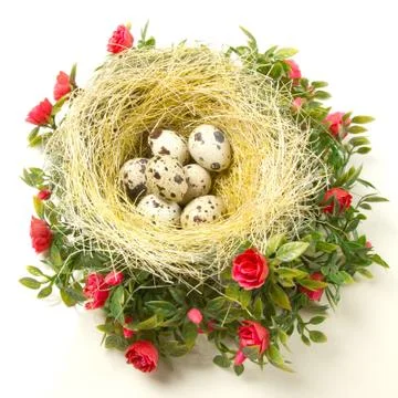 Easter quail eggs in the nest Stock Photos