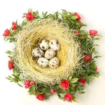 Easter quail eggs in the nest Stock Photos
